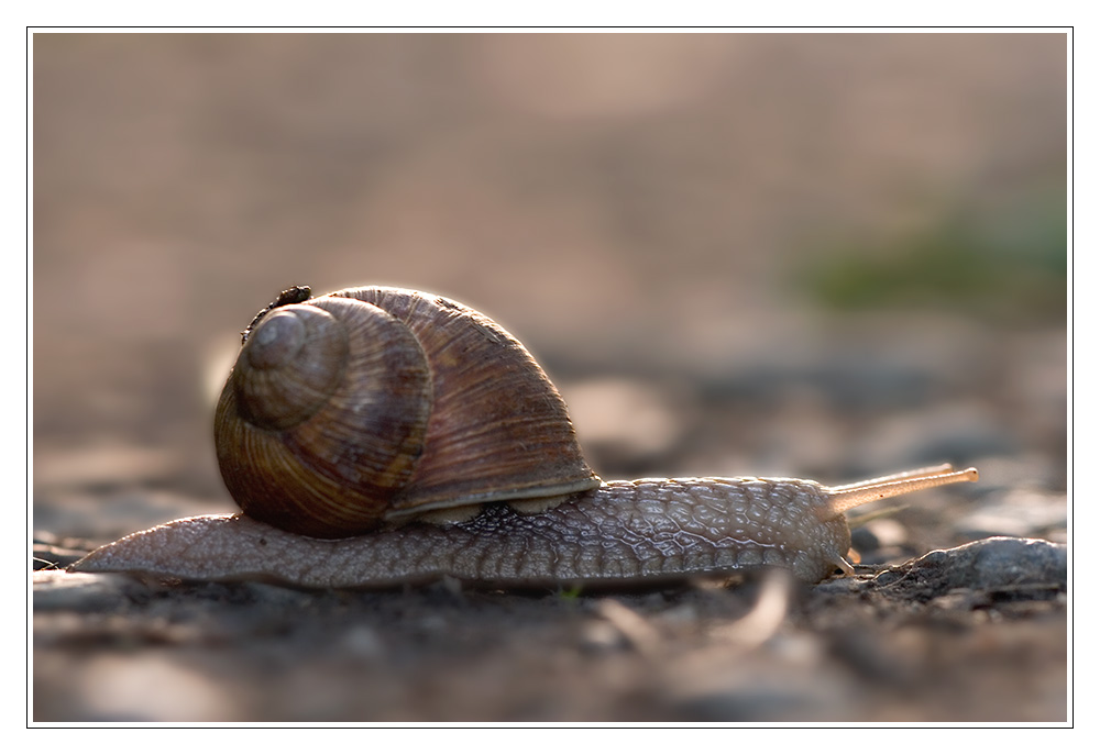 Highspeed unter Naturschutz!!!