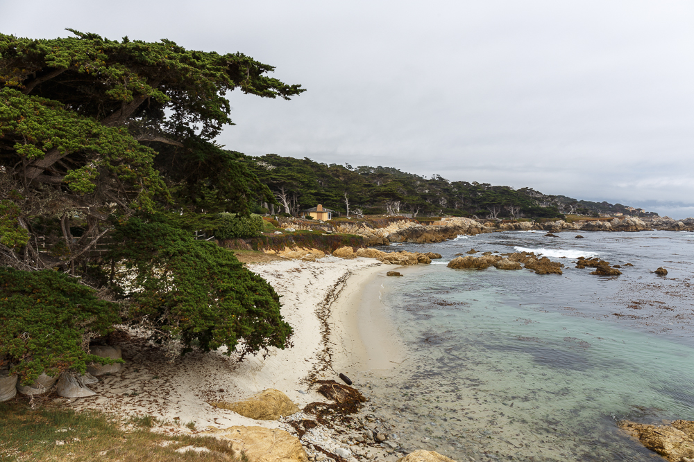 Highway 1 - 17 Mile Drive