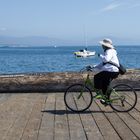 Highway 1, cycling on the dock of tha bay