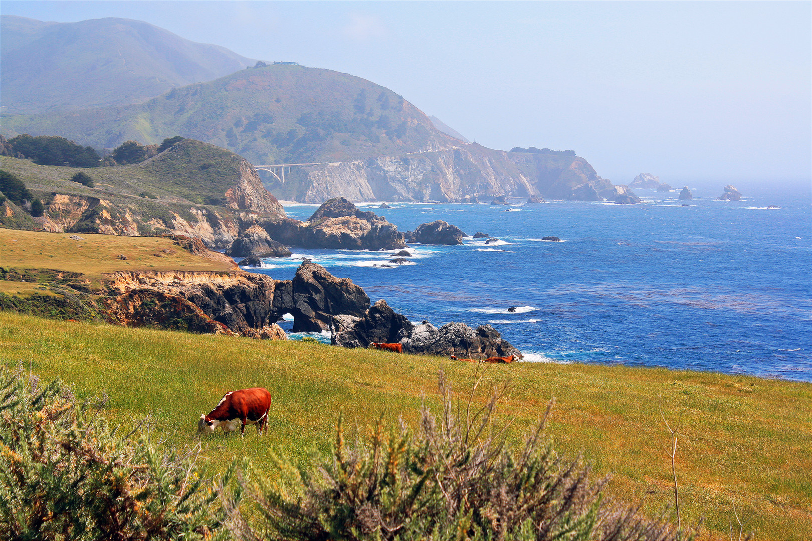 Highway 1( Pacific Coast )