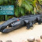 Highway Crocodile