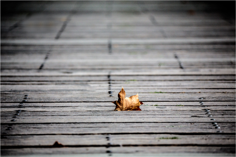  highway to herbst.