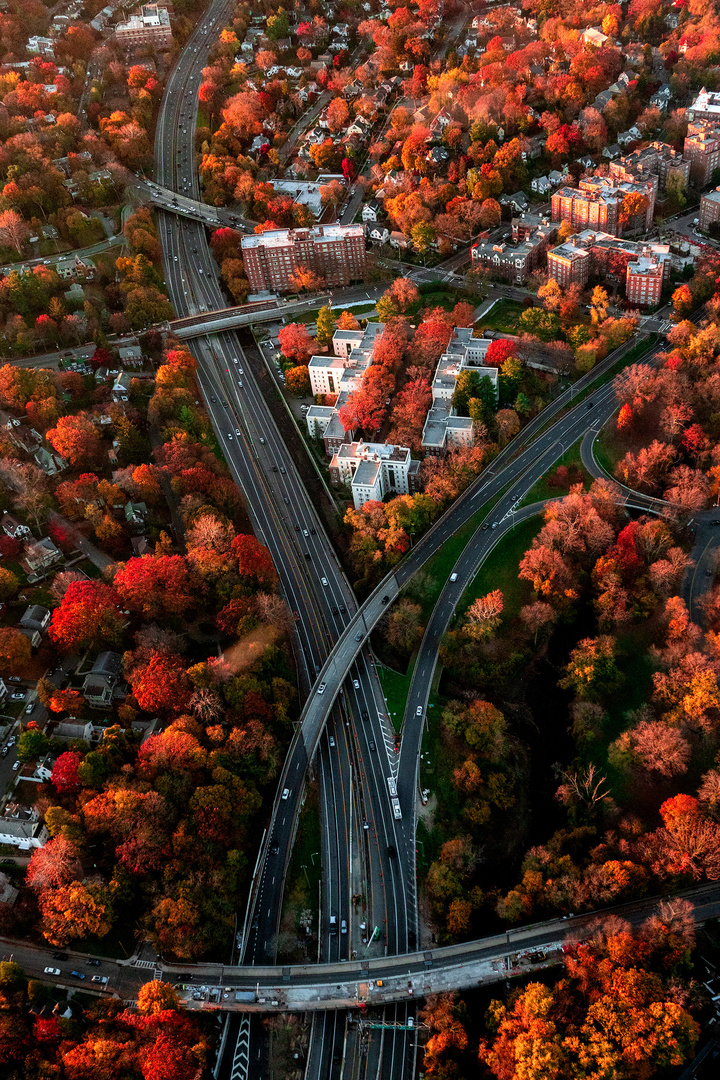 Highway Vibes: Adrenalin und Asphalt