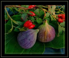    Higos y Frutos de Rosas 