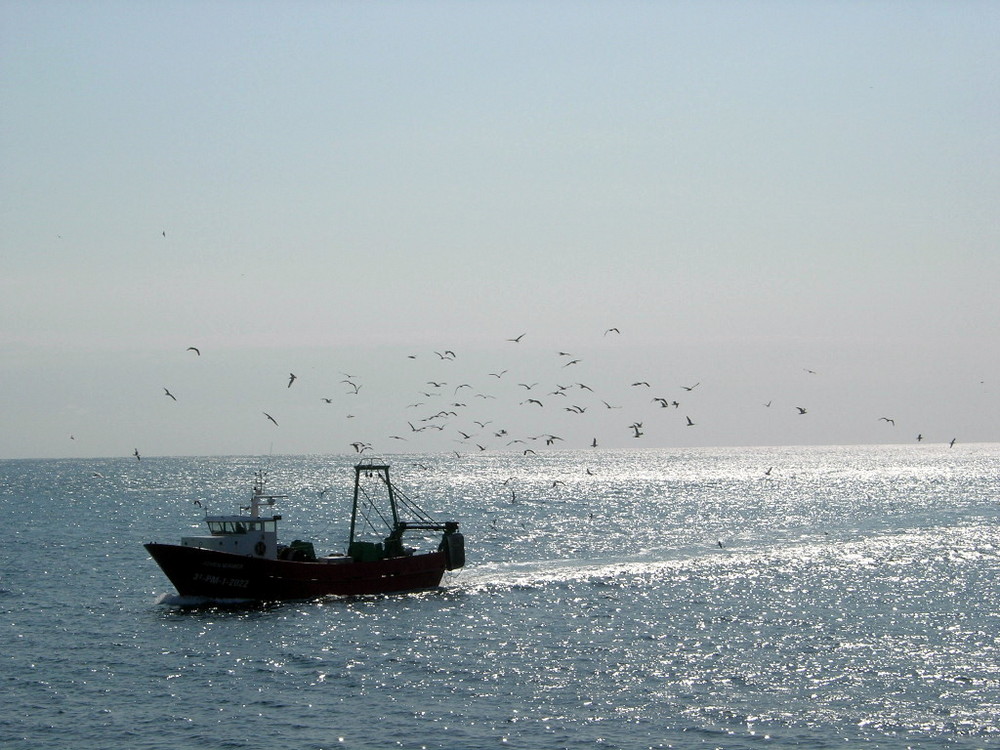 Hiiiillllffffeeee...............Fischerboot  an der Cala Ratjada-Mallorca