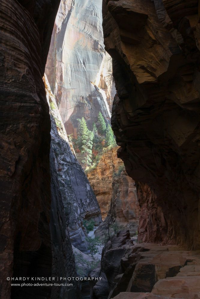 Hike to Observation Point