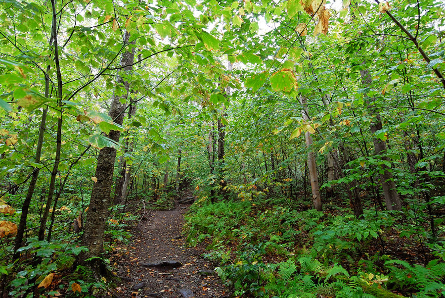 Hike up Camel's Hump, Vermont (2)