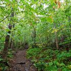 Hike up Camel's Hump, Vermont (2)