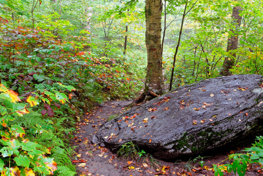 Hike up Camel's Hump, Vermont (3)