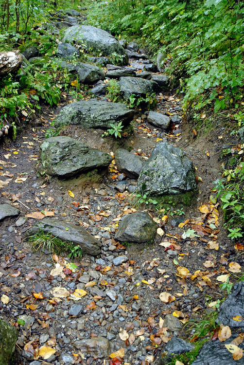 Hike up Camel's Hump, Vermont (4)