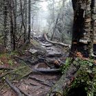 Hike up Camel's Hump, Vermont (6)