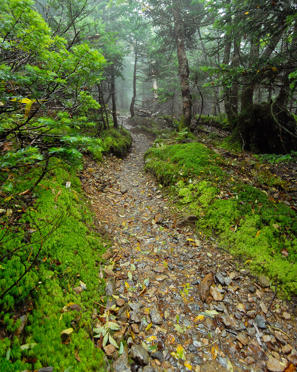 Hike up Camel's Hump, Vermont (9)