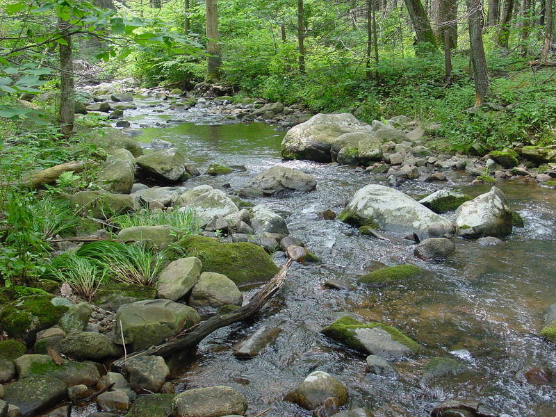 Hiking