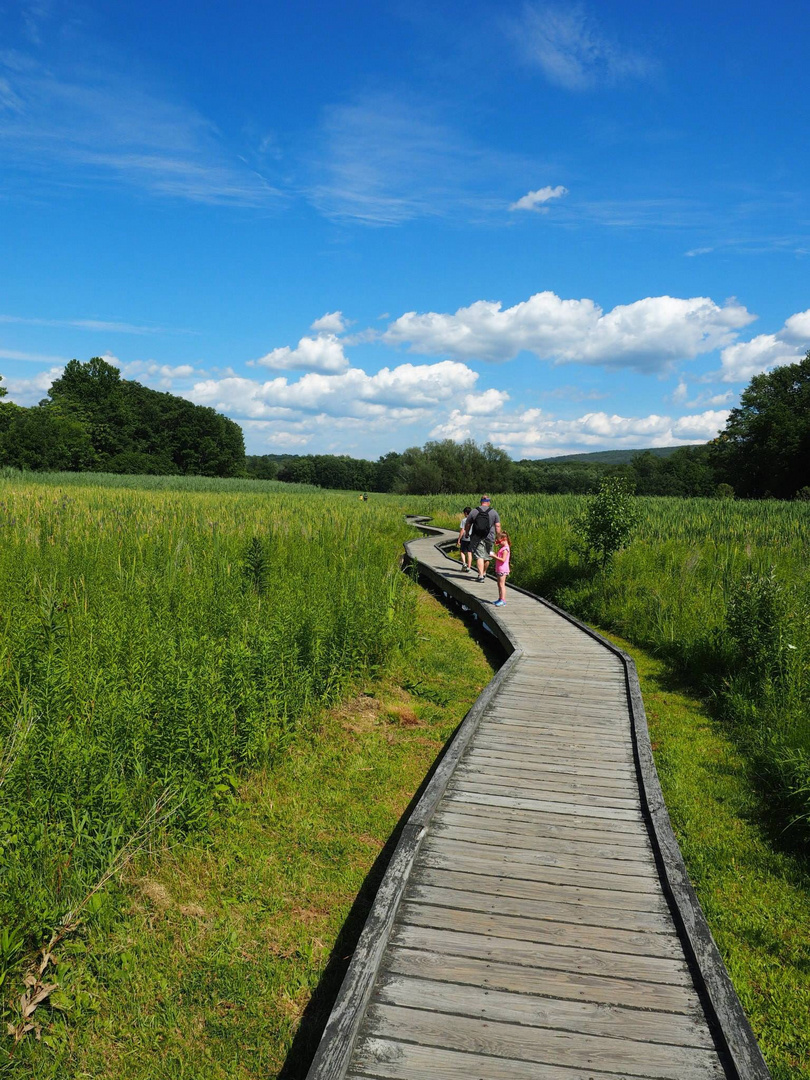 Hiking a short piece of the Appalachian trail