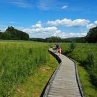 Hiking a short piece of the Appalachian trail