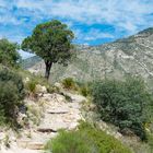 Hiking Guadalupe Mountains