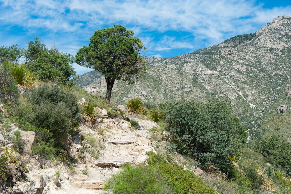 Hiking Guadalupe Mountains