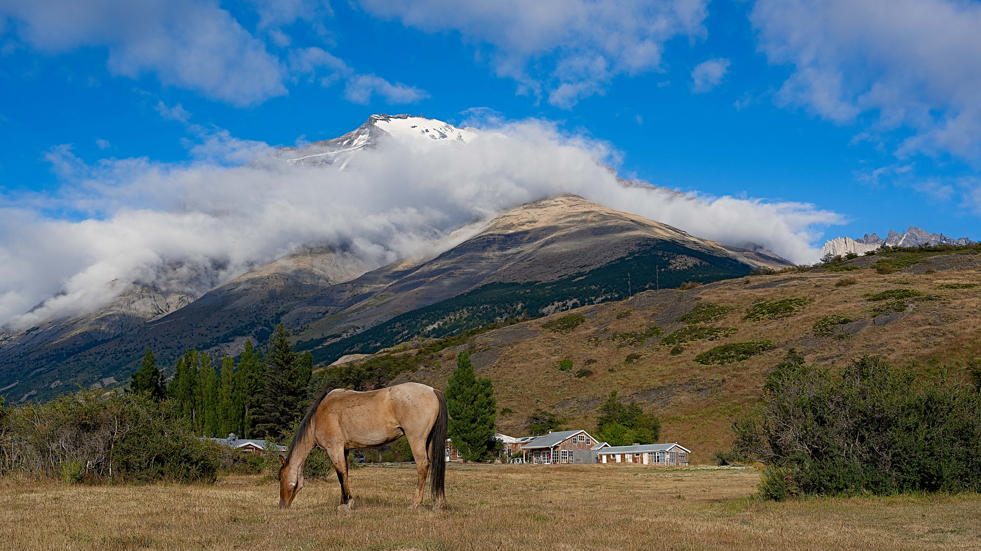 Hiking im Nationalpark 'Torres del Paine' in Chile