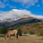 Hiking im Nationalpark 'Torres del Paine' in Chile