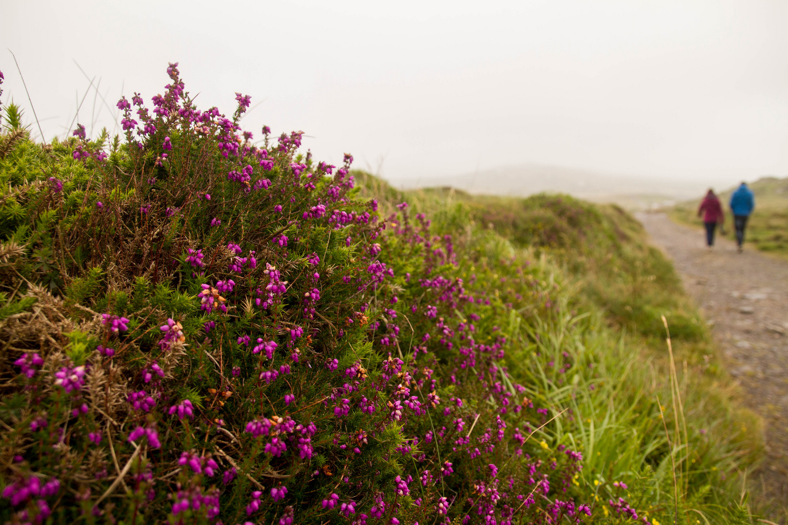 Hiking in Kerry