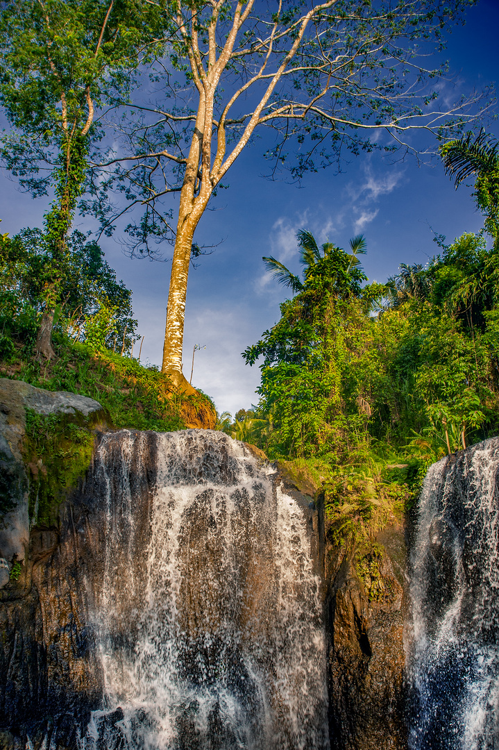 Hiking in the park of Beji Griya