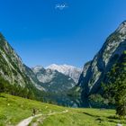 "Hiking on a lovely summer morning"