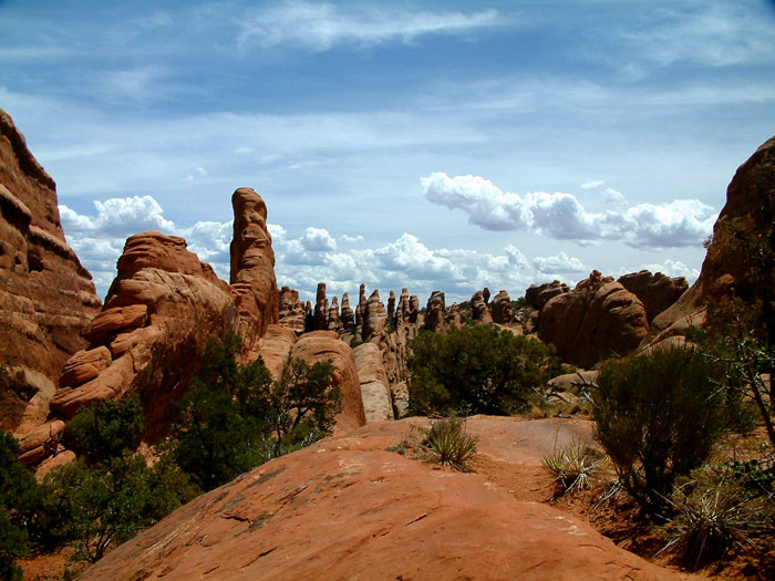 Hiking the devils primitive trail