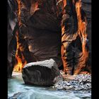 Hiking the Zion Narrows