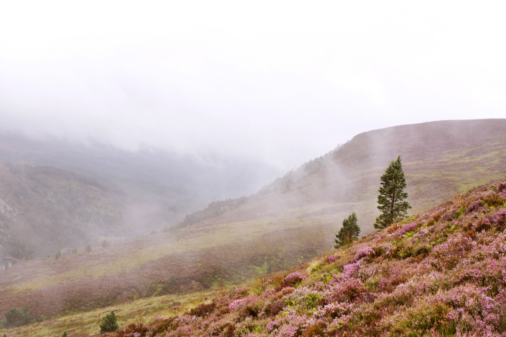 hiking through moorland