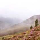 hiking through moorland