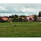 Hiking through the northern Black Forest Region