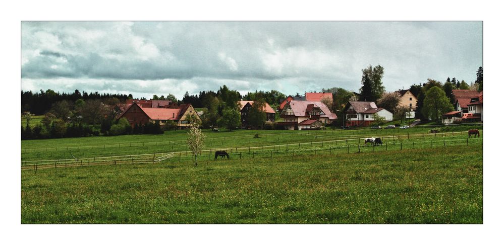 Hiking through the northern Black Forest Region