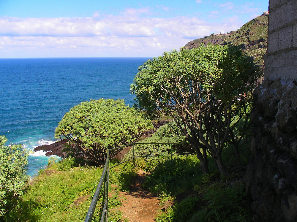 Hiking trail