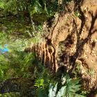 Hiking trail Madeira 