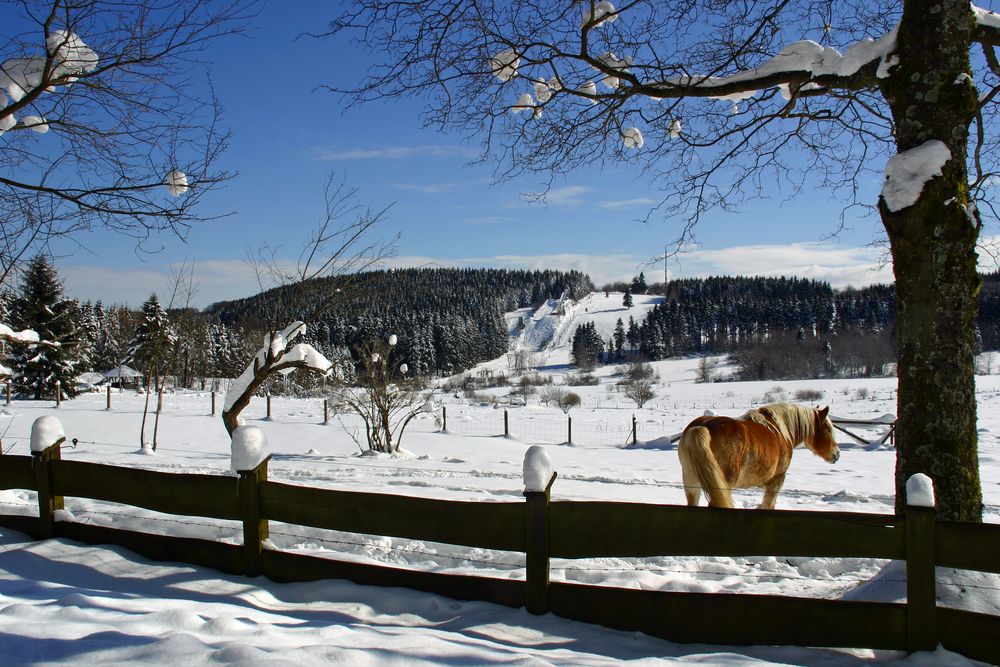 Hilchenbach Lützel Giller