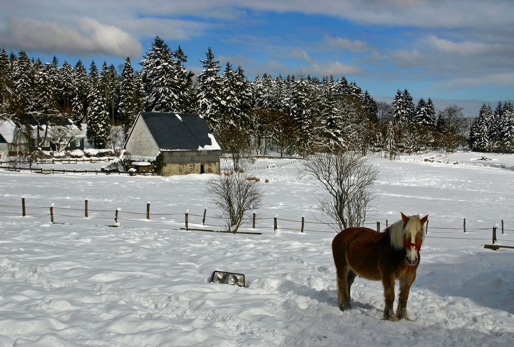 Hilchenbach Lützel Ginsberger Heide