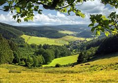 Hilchenbach Oberndorfer Höhe, Blick auf Oberndorf