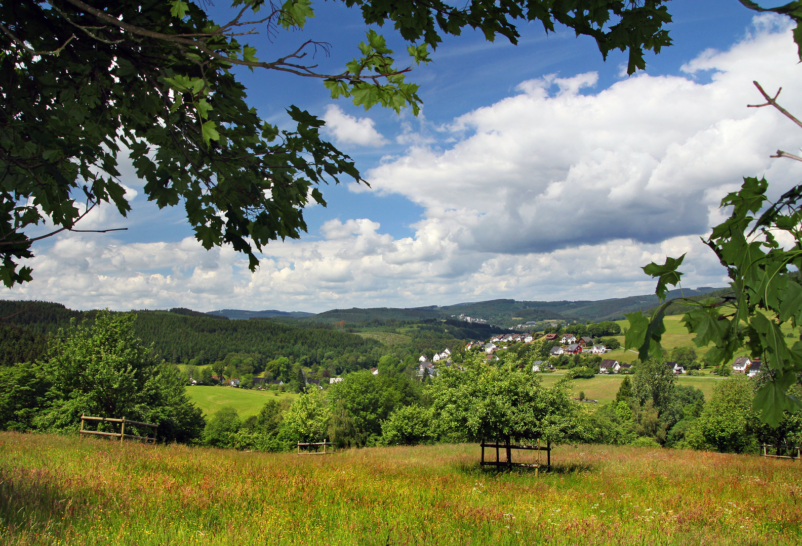 Hilchenbach Vormwald