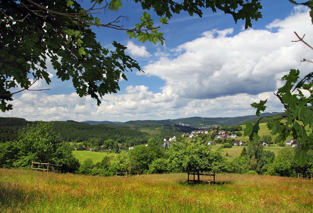 Hilchenbach Vormwald