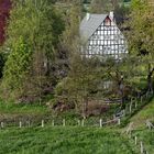 Hilchenbach-Vormwald: Fachwerkhaus im Frühling