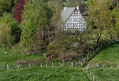 Hilchenbach-Vormwald: Fachwerkhaus im Frühling