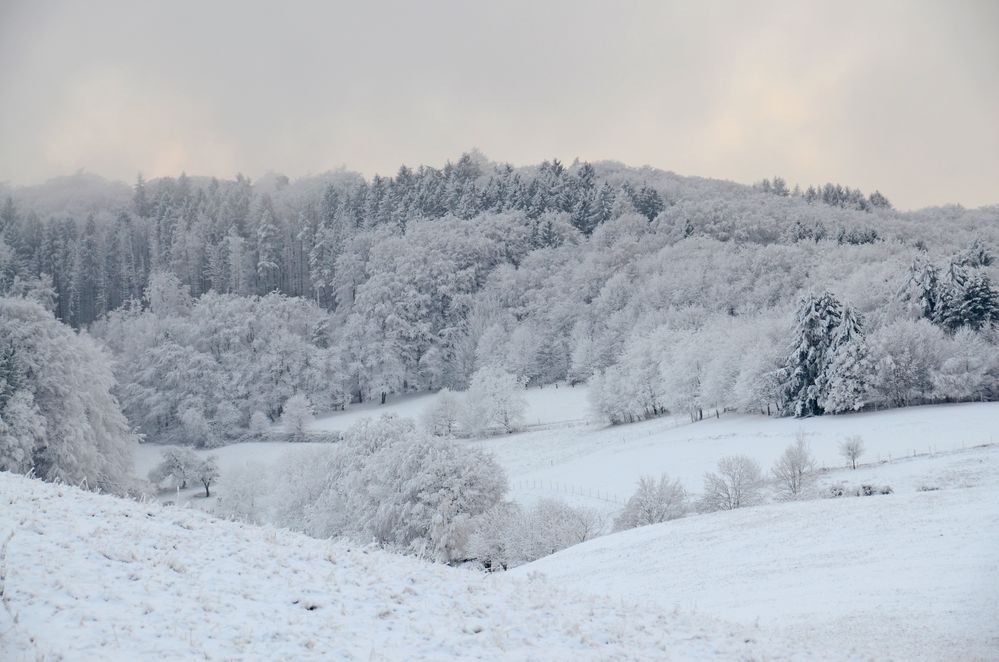 Hilde Winterlandschaft