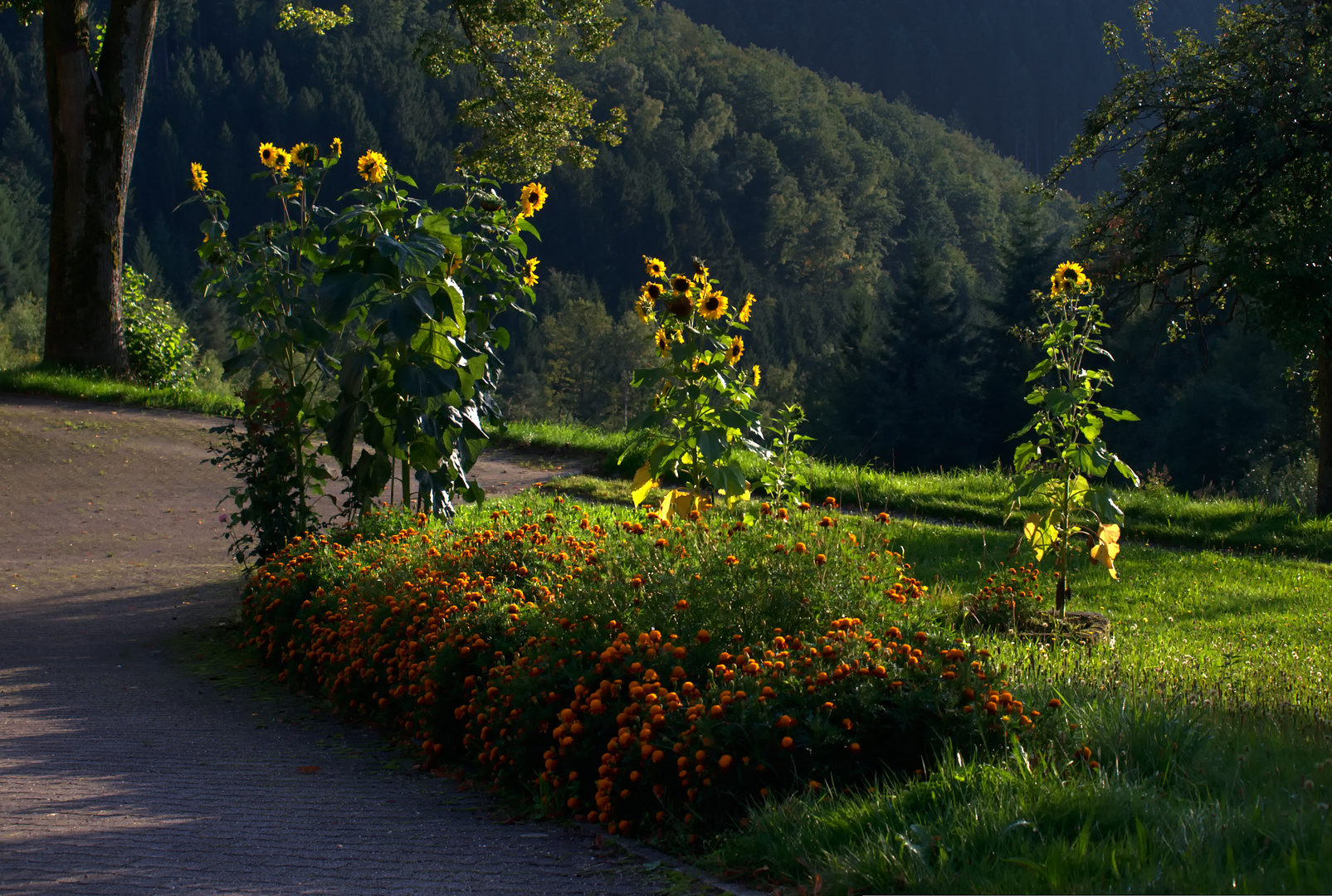 Hildegard's Sonnenblumen RELOAD