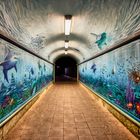 Hildesheim Aquariumtunnel