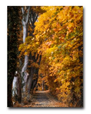 Hildesheimer Impressionen 1