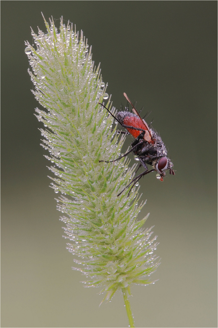 Hilfe bitte 1. Makro-Versuch