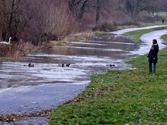 Hilfe, der Rhein kommt...