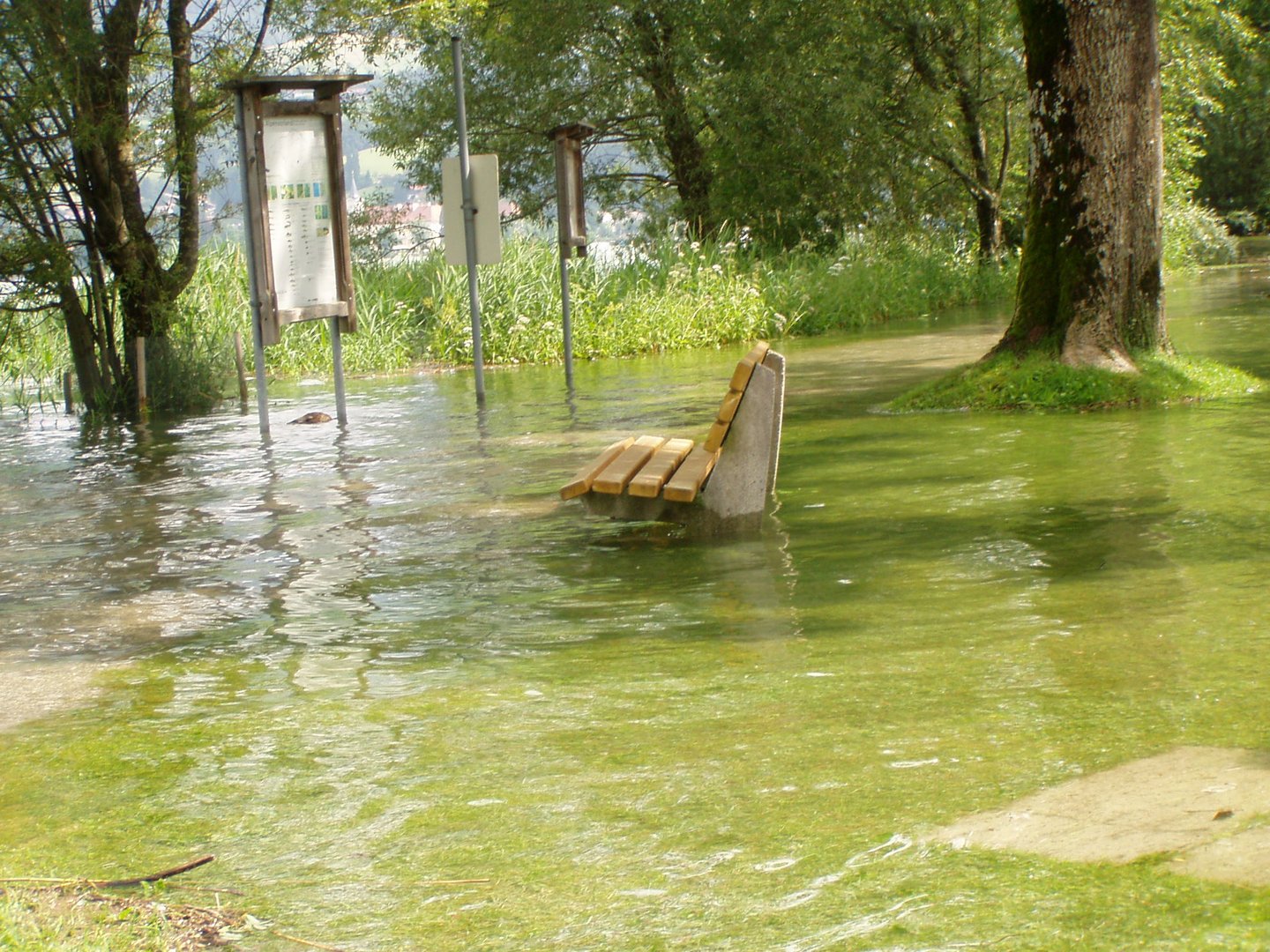 Hilfe! Der Tegernsee läuft über...