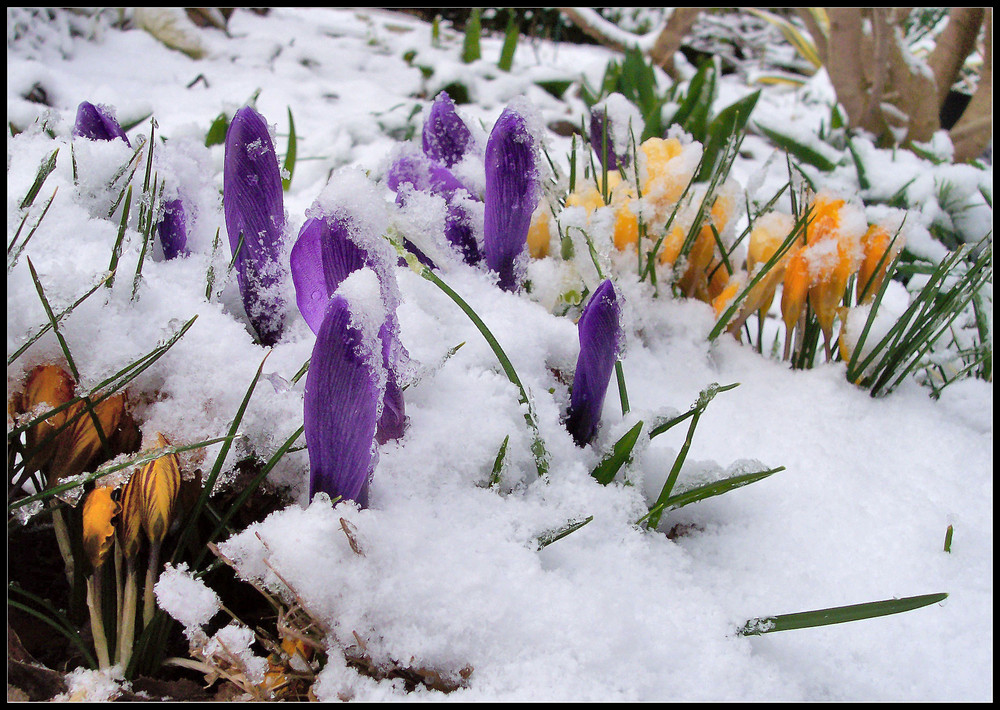 Hilfe der Winter kommt zurück