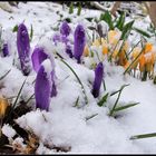 Hilfe der Winter kommt zurück